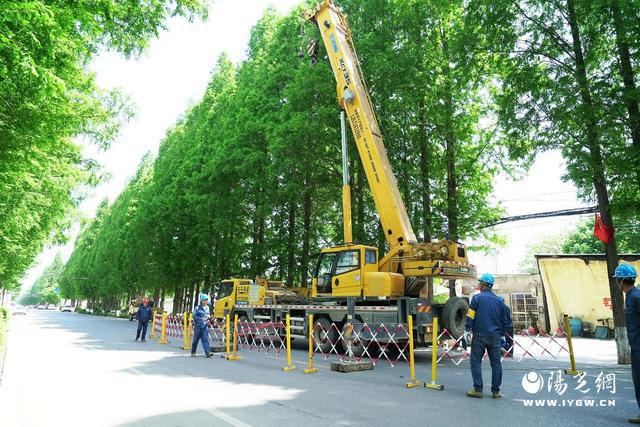 实现中压发电车两车并网供电k8凯发国际鄠邑供电首次